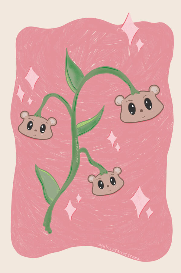 Beary Spring